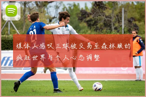 媒体人感叹三球被交易至森林狼的疯狂世界与个人心态调整