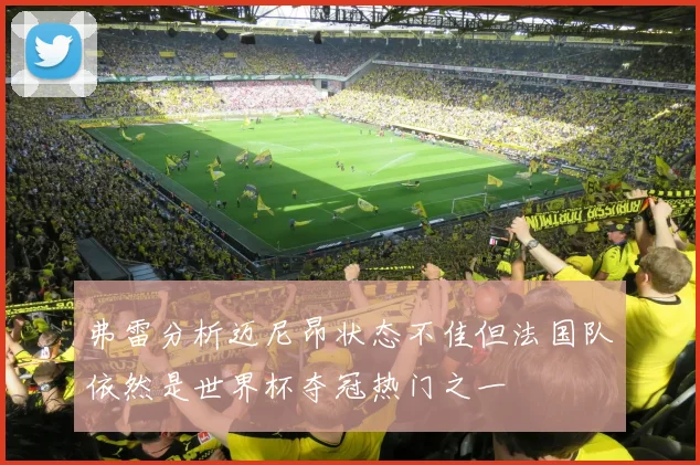 弗雷分析迈尼昂状态不佳但法国队依然是世界杯夺冠热门之一