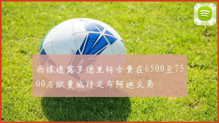 西媒透露罗德里转会费在6500至7500万欧曼城待定布阿迪交易